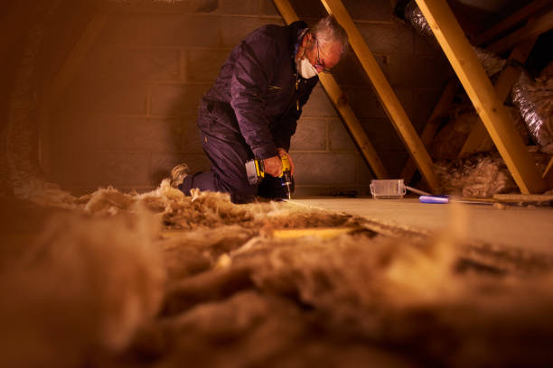 Best Geographic-Specific Insulation Services in Grace, ID